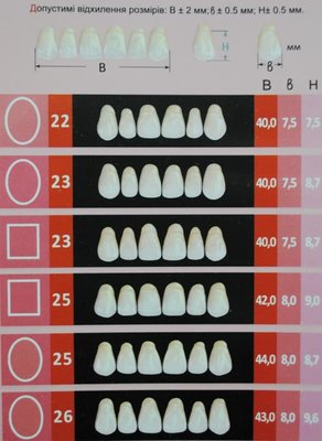 Зуби пластмасові на планках Super Dent А3 - 28 зубів. 00106 фото