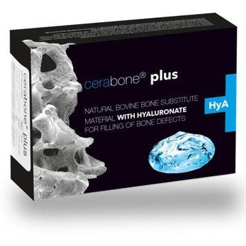 Cerabon Plus Botiss 1.0 мл дрібна 4310-2613 фото